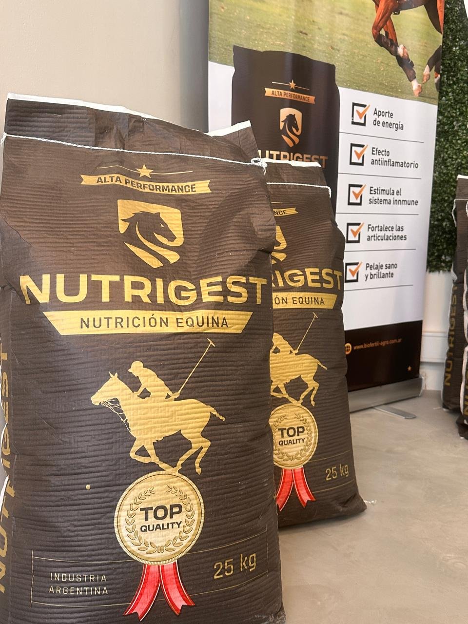 Lanzamiento: Llega Nutrigest, una nueva marca de alimentos para caballos de alto rendimiento