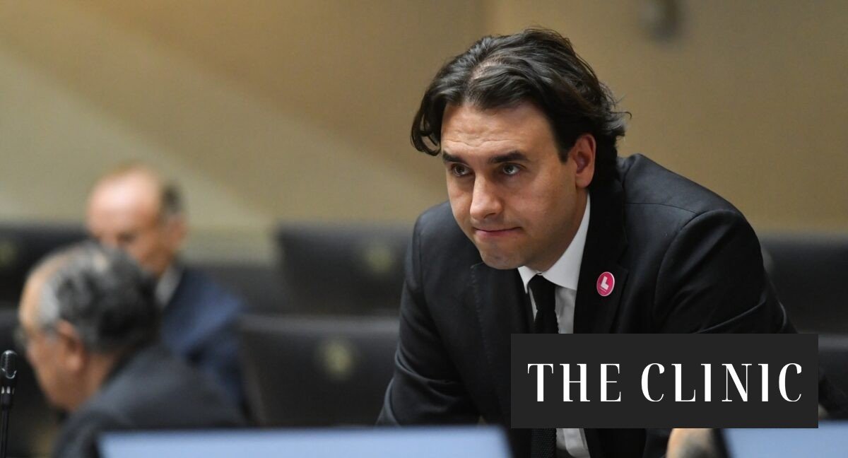 Vlado Mirosevic declina asistir a viaje de Estado con Kast para poder votar en la AC contra Grau: “Es mi responsabilidad estar en el Senado”