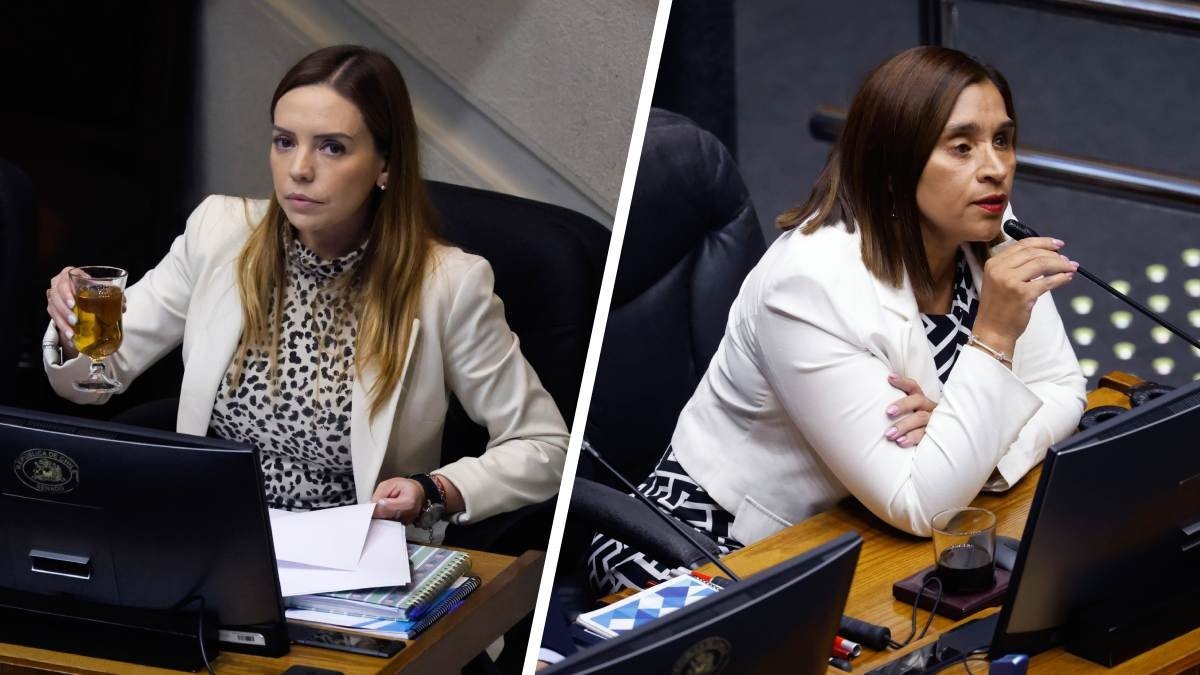 Senado formulará pronunciamiento ético por "roteo" mutuo entre Flores y Campillai