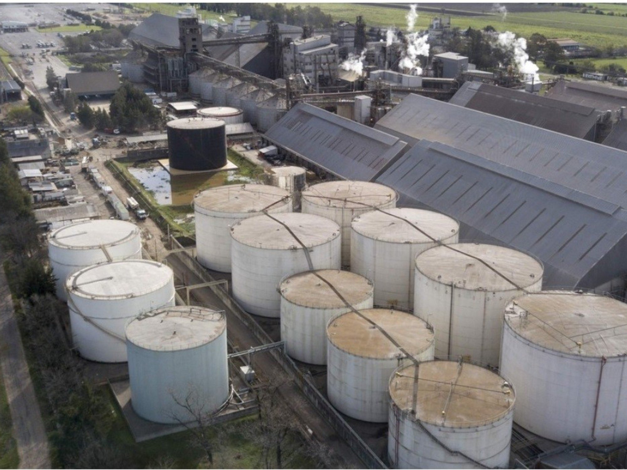 Sigue el reclamó a la UE por la medida que bloquea el ingreso del biodiésel argentino