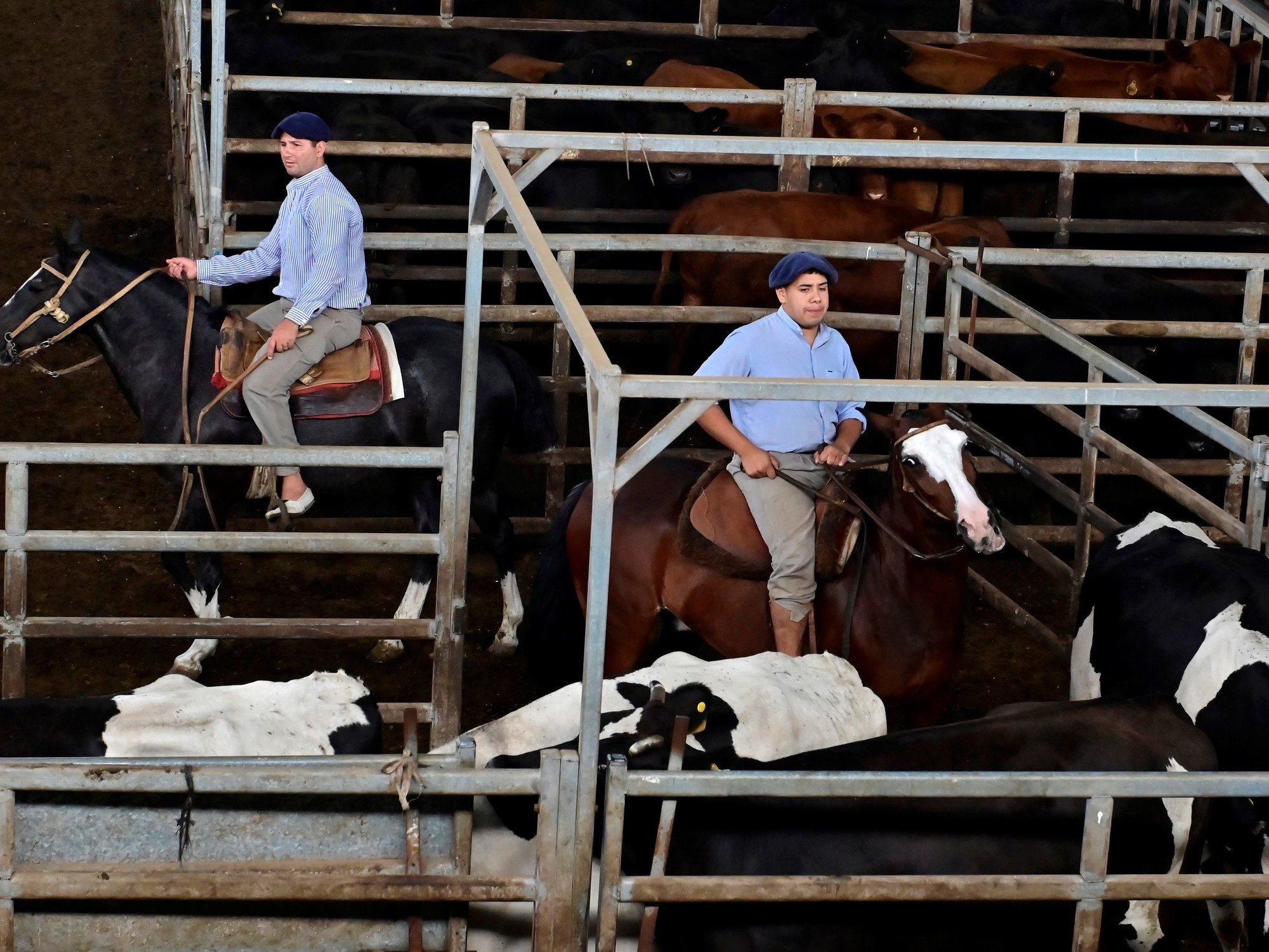 La carne encuentra un techo: señales de freno tras los precios récord de la hacienda
