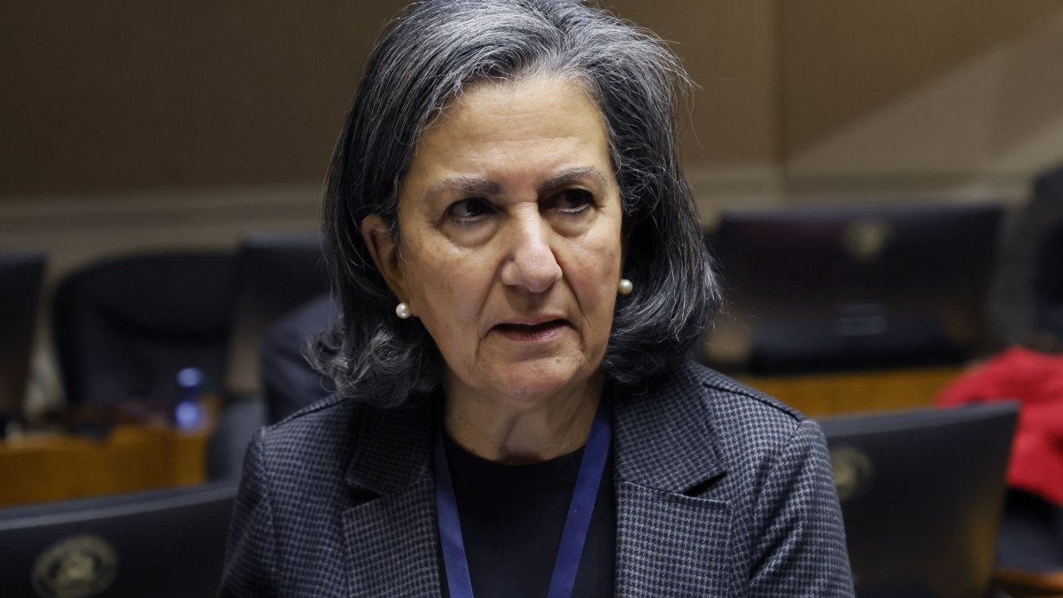 Ministra Chomali afirma que municipios utilizan recursos de salud para "otras cosas"