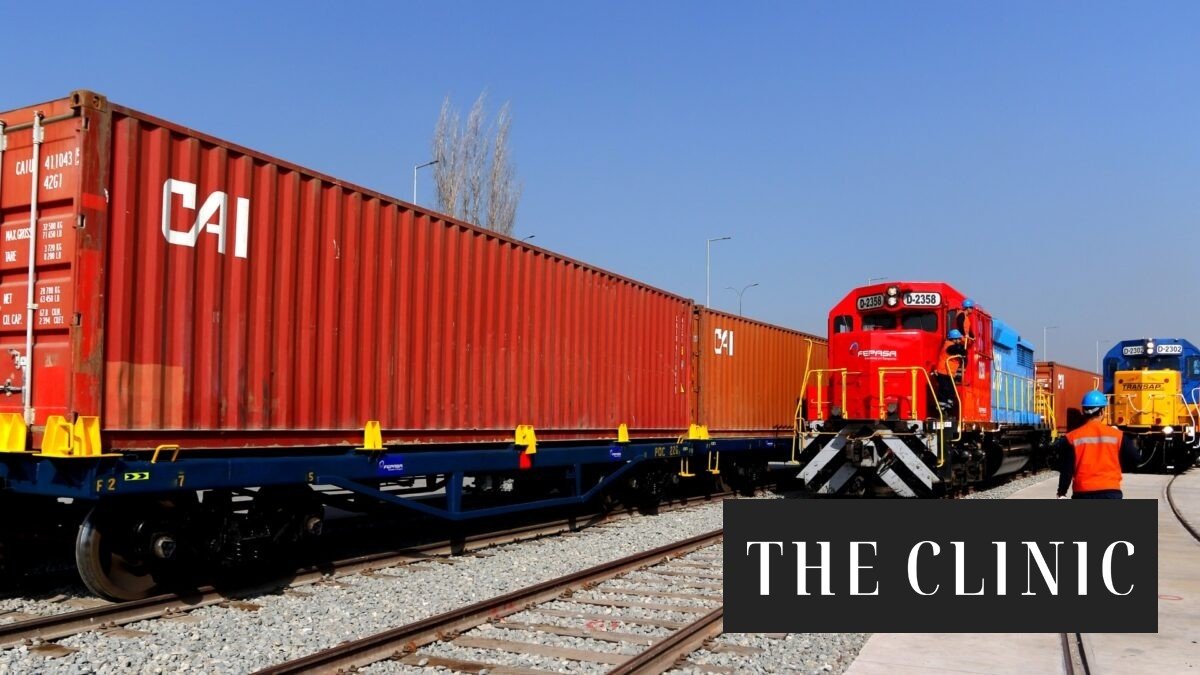 Los argumentos que llevarían al MTT a desestimar el proyecto que busca reactivar la conexión ferroviaria entre Chile y Argentina