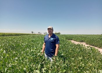 Un importante semillero asegura que el reconocimiento de la propiedad intelectual no genera costos adicionales para los productores