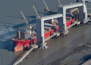 Cayó en febrero un 30% la liquidación de divisas del sector agroexportador: los motivos