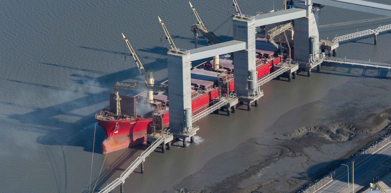 Cayó en febrero un 30% la liquidación de divisas del sector agroexportador: los motivos