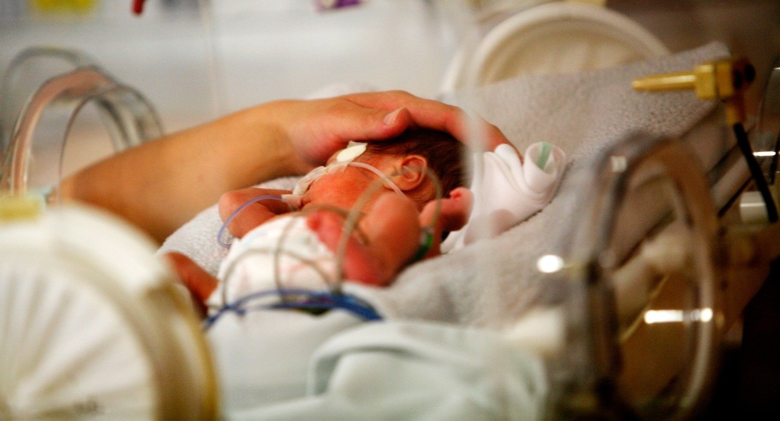 2025 ratificó la caída de la natalidad en Chile con 8.269 nacimientos menos que en 2024: “Hay mucha incertidumbre y pasa a ser casi irresponsable tener hijos”