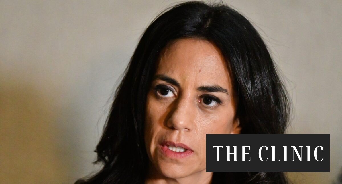 Núñez y el miércoles clave de la megarreforma en el Senado: “En la reunión de comité vamos a decidir si se vota en general o si queda para más adelante”