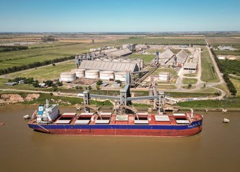 Las exportaciones agroindustriales son récord histórico en el arranque de 2026