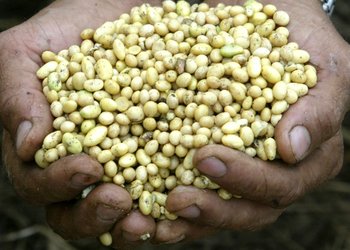 UPOV 91: ¿el fin de las "retenciones tecnológicas"