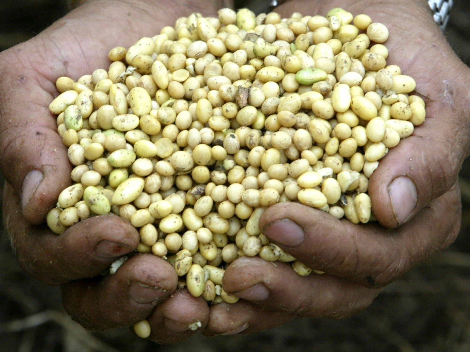 UPOV 91: ¿el fin de las "retenciones tecnológicas"