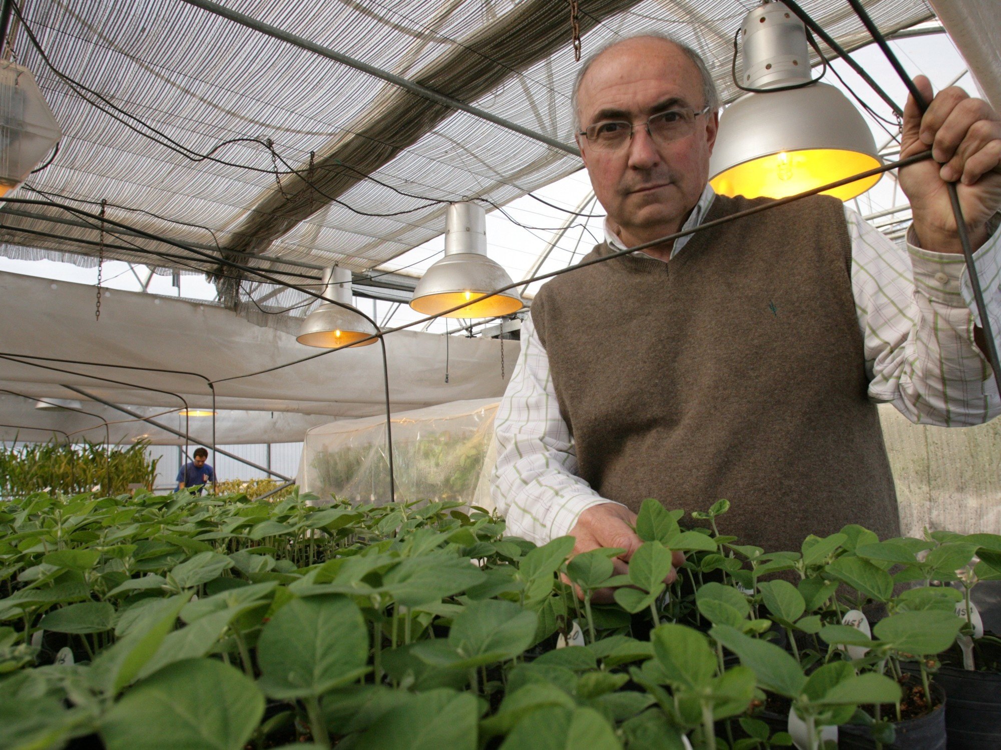 A 30 años del gran hito de la soja, los rindes no crecen