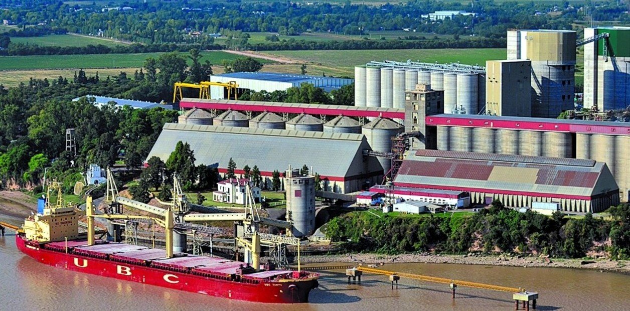 Sorpresivo giro en las exportaciones del producto que más dólares genera en la Argentina: "Llegó a más del 35% del planeta"