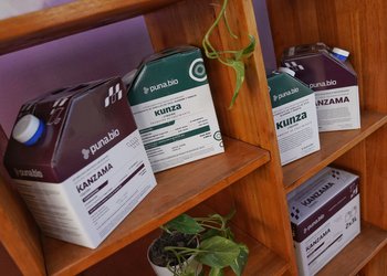 Qué hace la única empresa argentina elegida como la más innovadora de la región en 2026