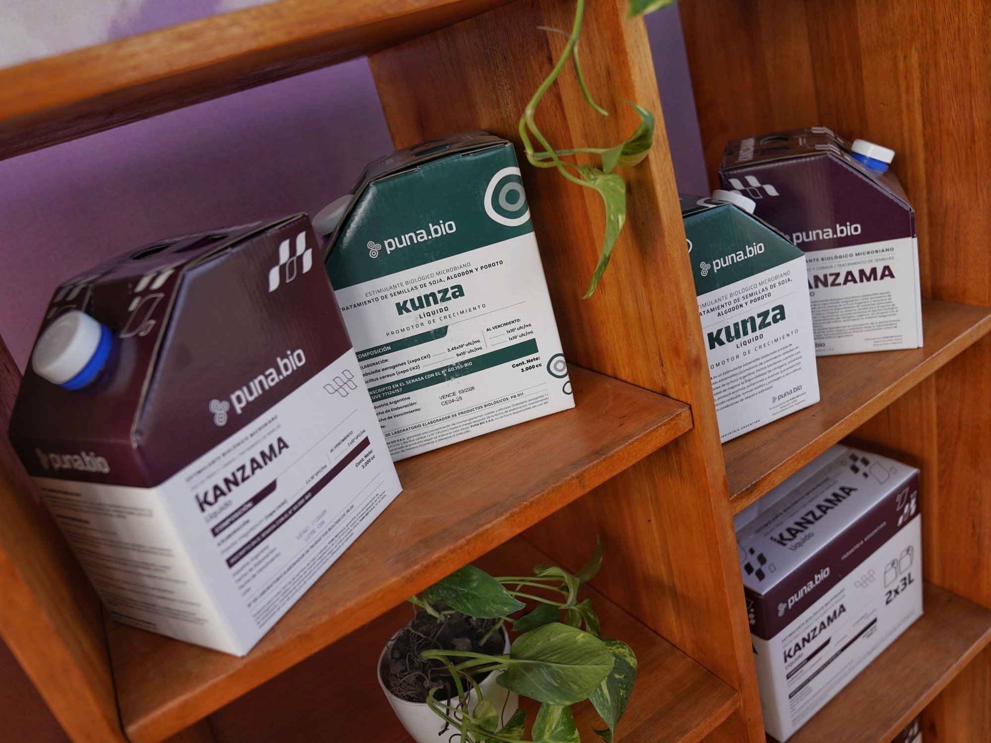 Qué hace la única empresa argentina elegida como la más innovadora de la región en 2026