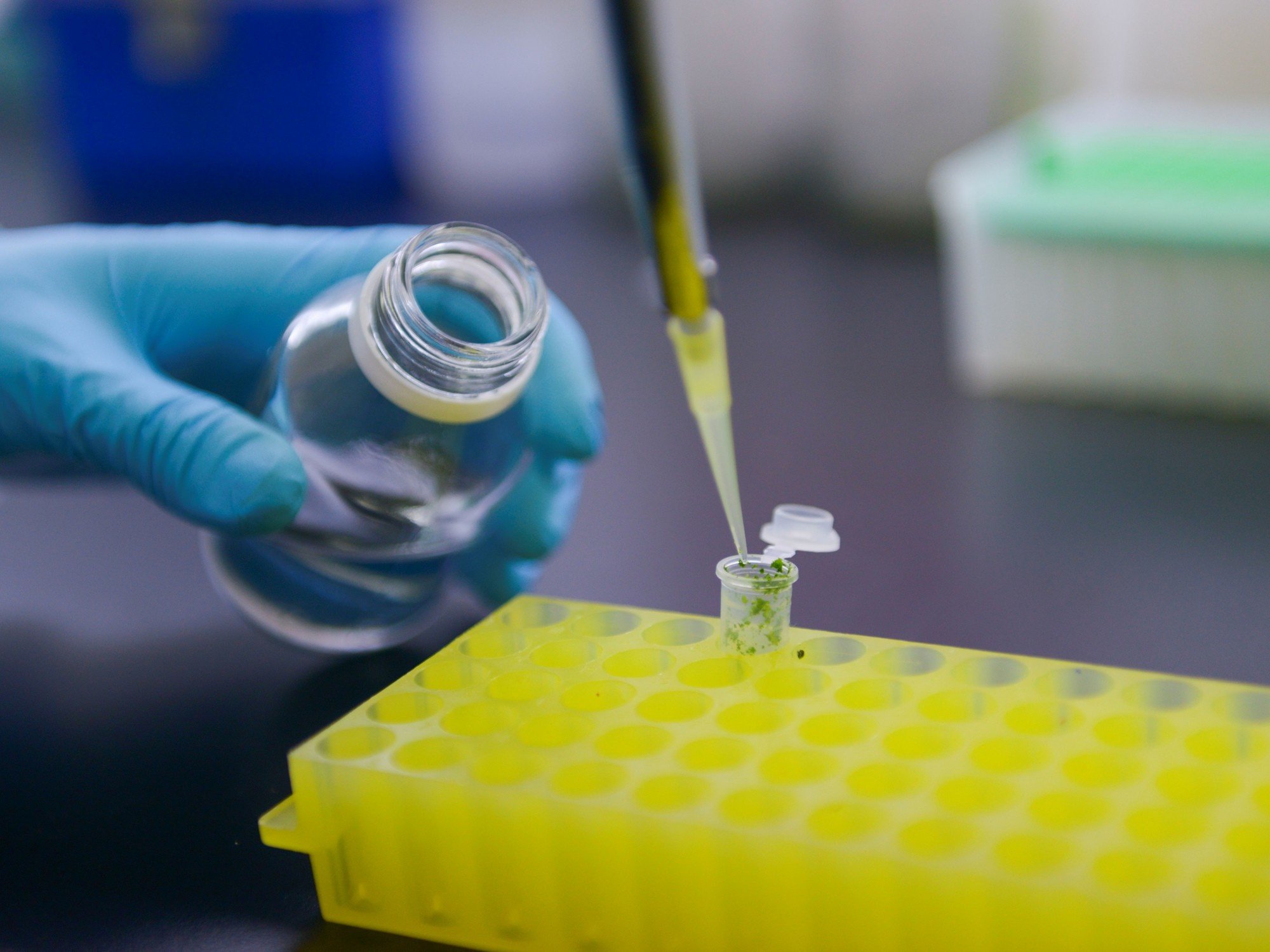 Biotecnología, tecnología estratégica del siglo XXI