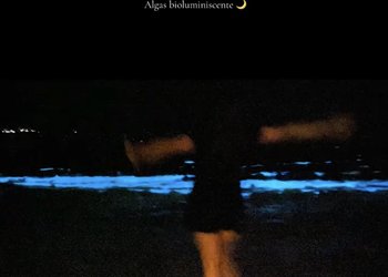 Noctiluca: por qué se produce el majestuoso fenómeno de bioluminiscencia azulada que se dejó ver en las playas de Caldera