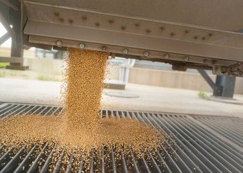 Tensión global más soja en jaque: el cóctel explosivo que puede cambiar el rumbo de los granos