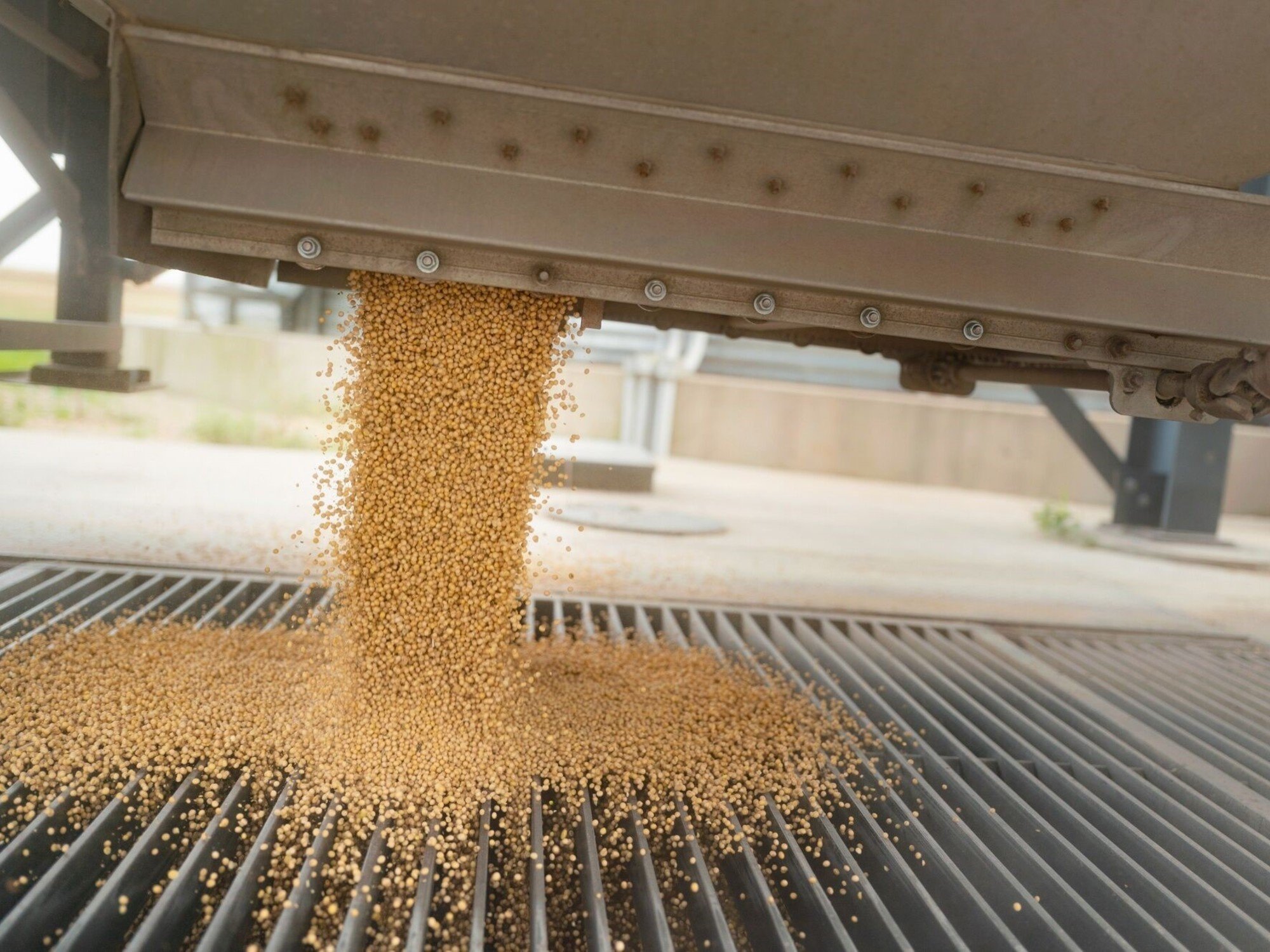 Tensión global más soja en jaque: el cóctel explosivo que puede cambiar el rumbo de los granos