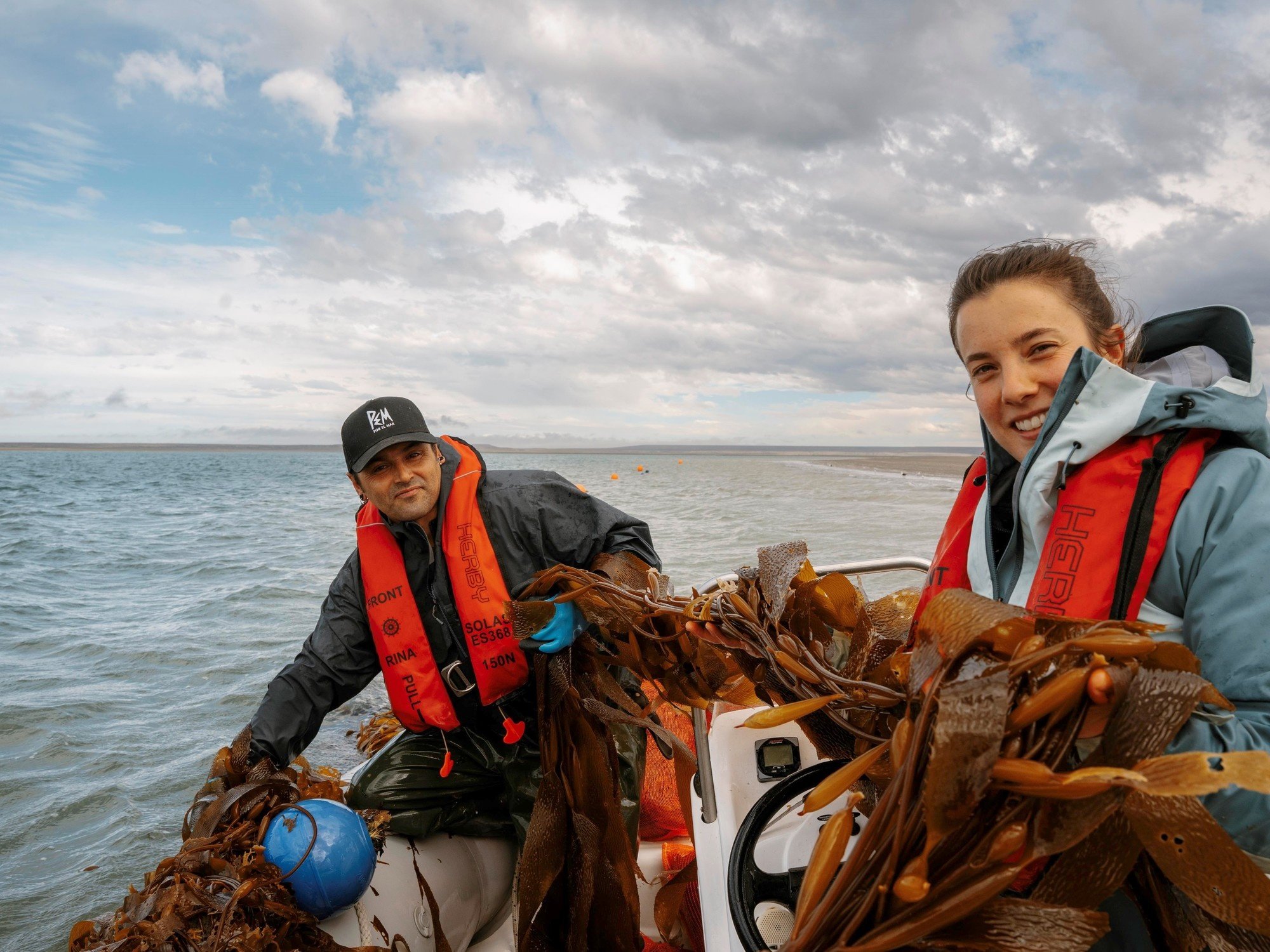 Cosechar en el mar para mejorar los cultivos en la tierra: se realizó la primera recolección de macroalgas en la Patagonia