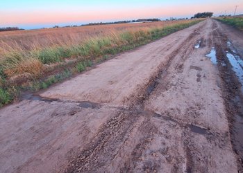 La municipalidad de Daireaux adelantó que apelará el fallo que la obliga a devolver dinero de la tasa vial a productores