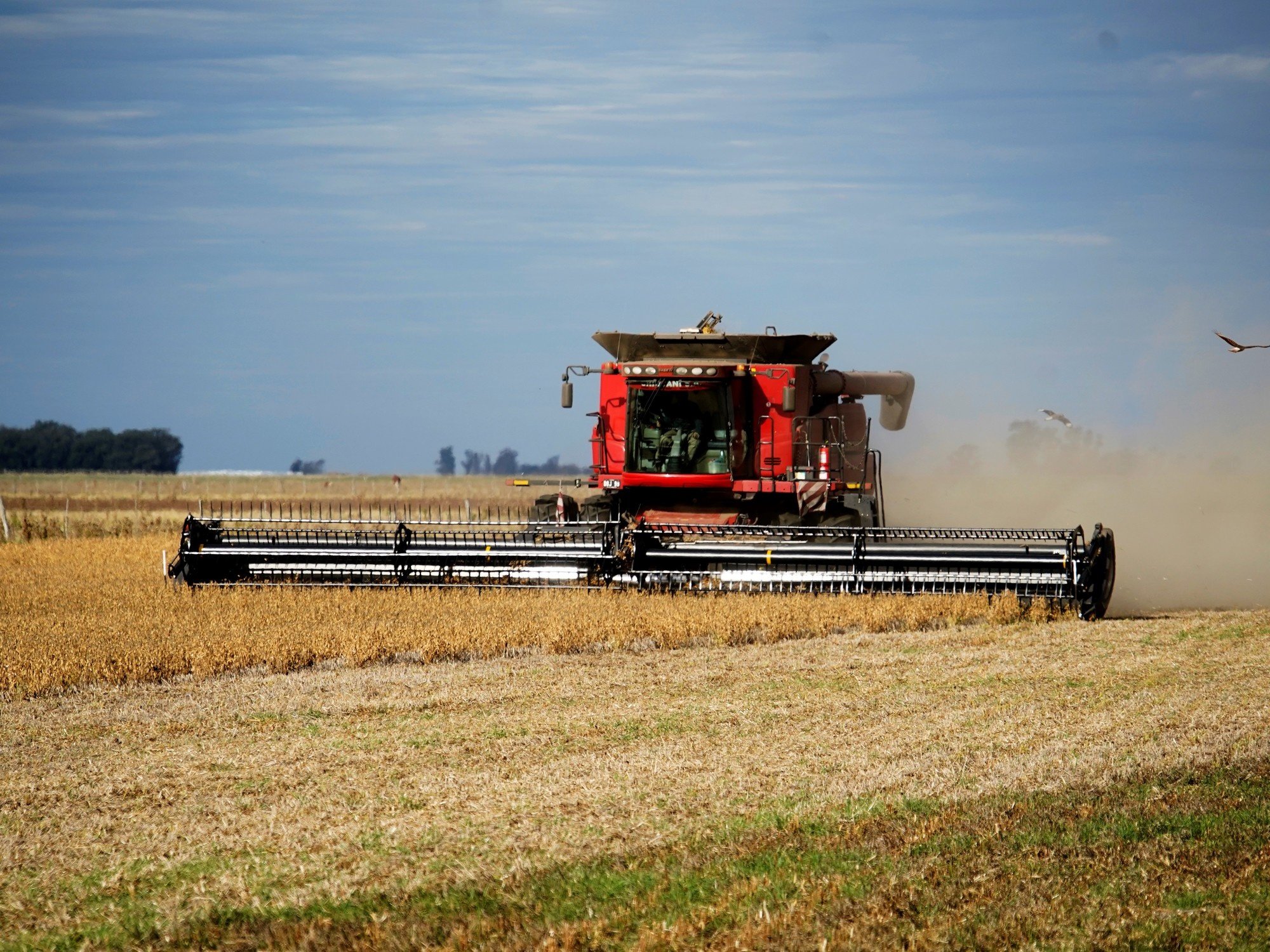 El negocio de maquinaria agrícola cerró 2025 con altibajos: creció la venta de cosechadoras e implementos, pero cayó la de sembradoras y tractores