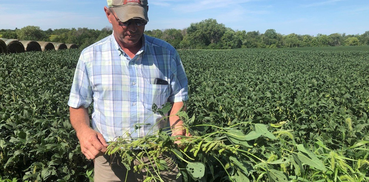 Ahora, "ayuda" militar" para los farmers