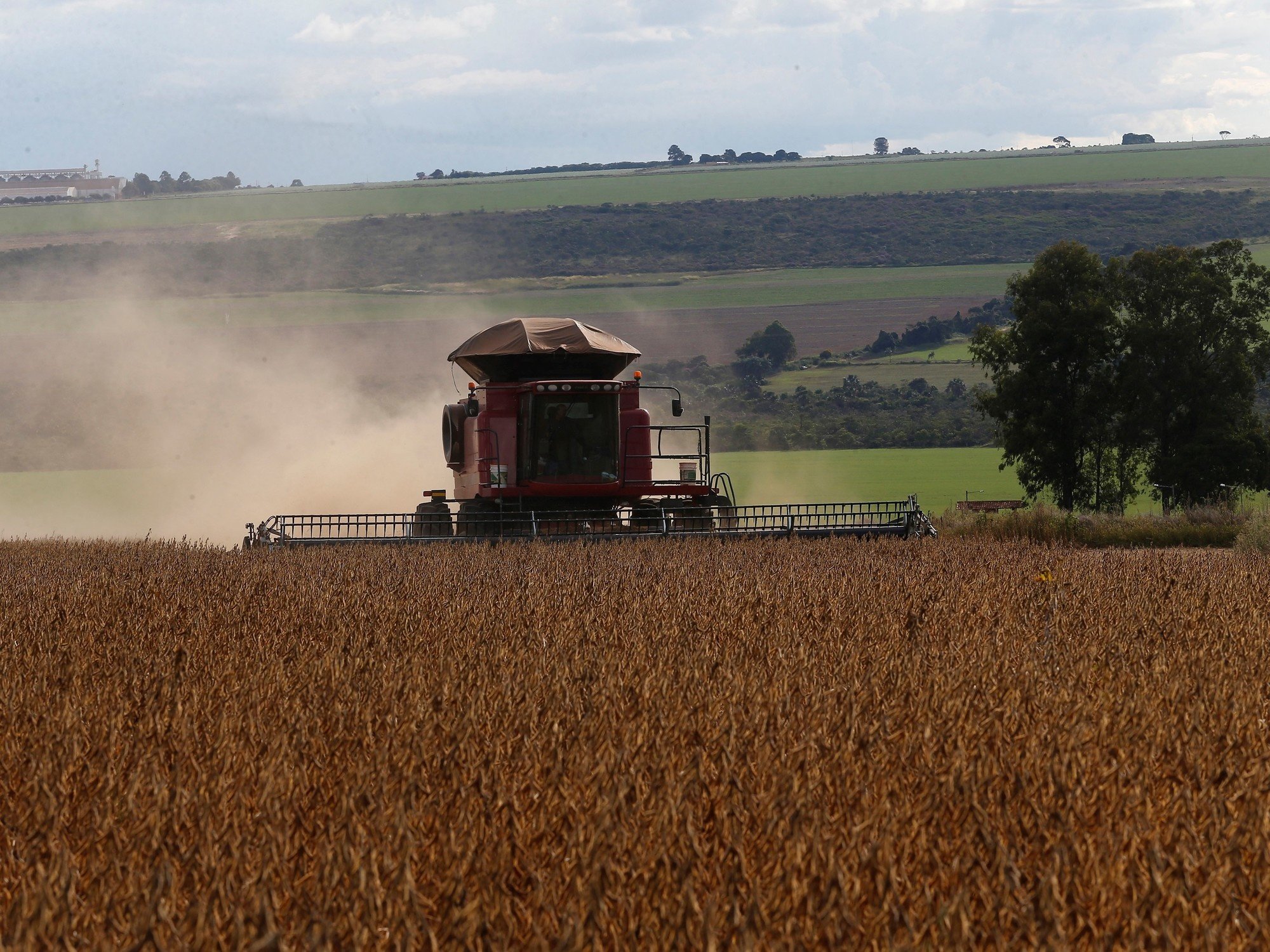 Argentina pierde terreno frente a Brasil: las brechas del agro que se ampliaron en las últimas décadas