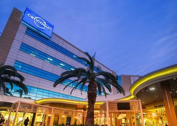 El retorno de la familia Paulmann a la presidencia de Cencosud