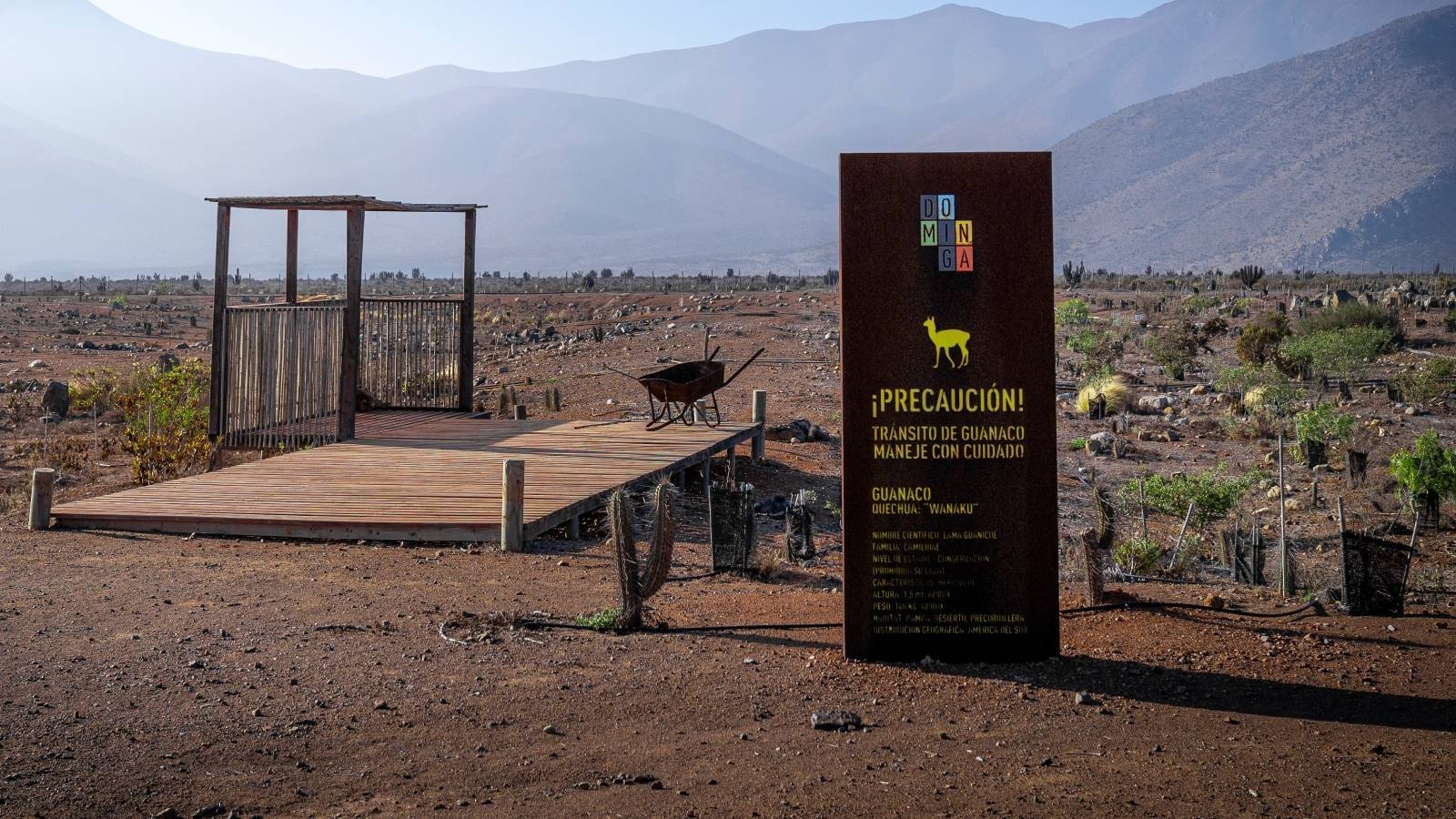 La nueva arremetida de Andes Iron por Dominga: empresa presenta recurso de reclamación ante el Tribunal Ambiental