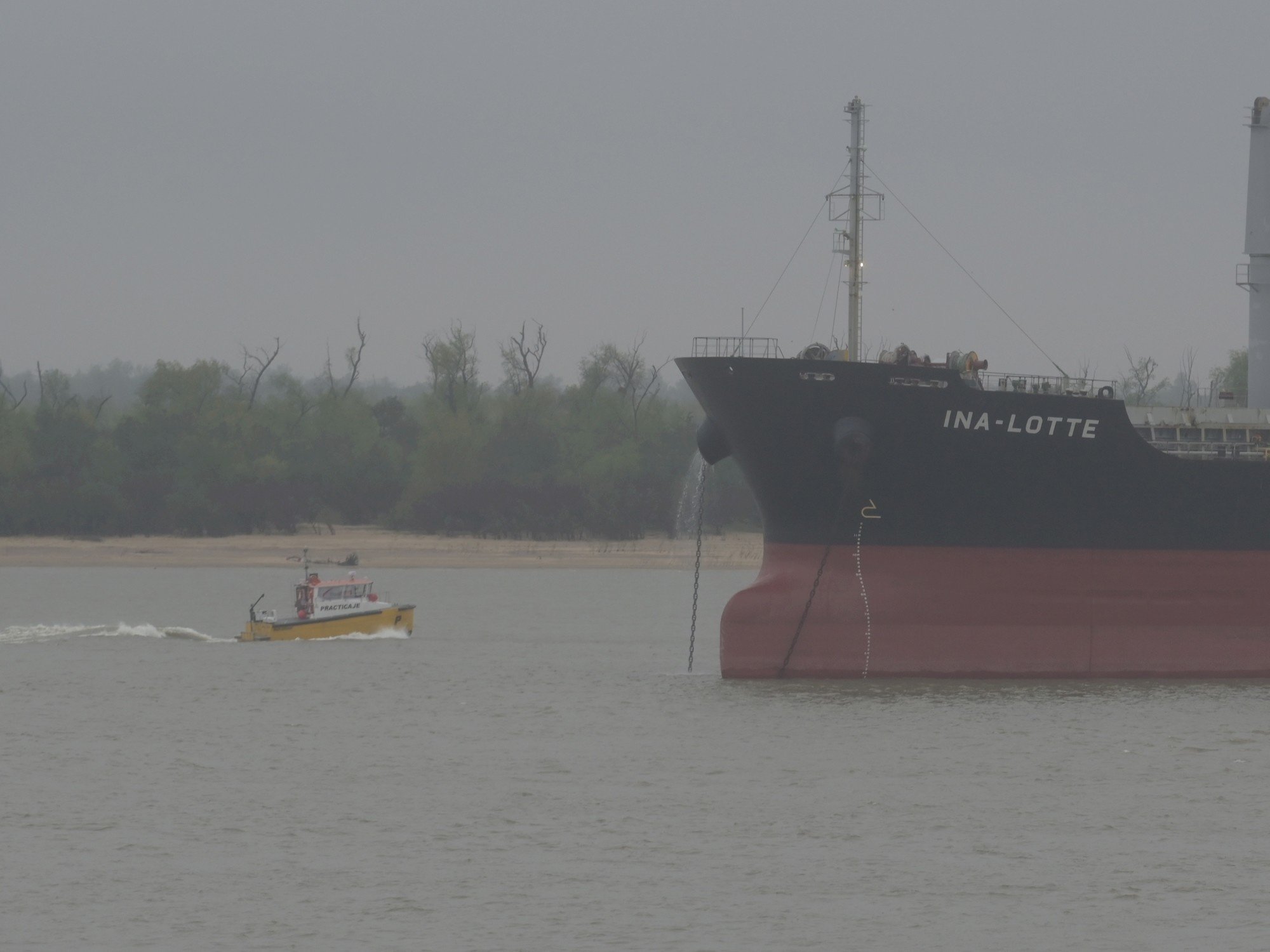 El agro ya liquidó US$ 34.500 millones y es el tercer mejor año histórico en ingreso de divisas