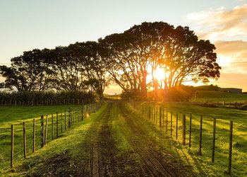 El campo con un panorama auspicioso, en la previa de Expoagro