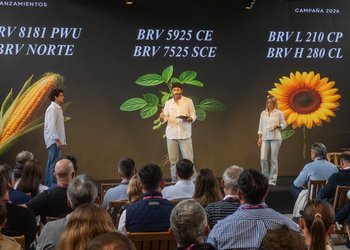 Seis nuevas semillas para "estar en todas"