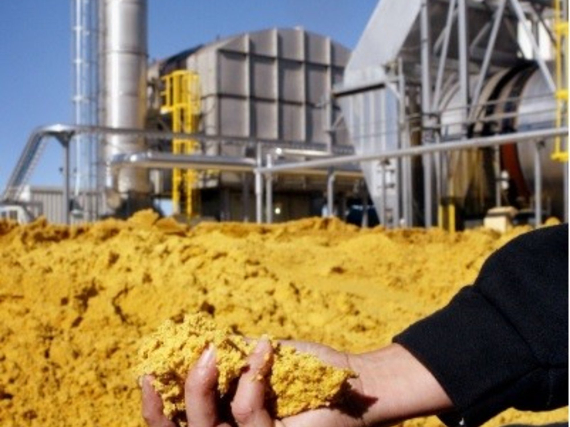 Sin bioeconomía no hay paraíso: cómo expandir la frontera productiva sin violar mandatos ambientales