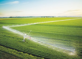 Riego: el potencial oculto que puede sumar producción, empleo y dólares al país