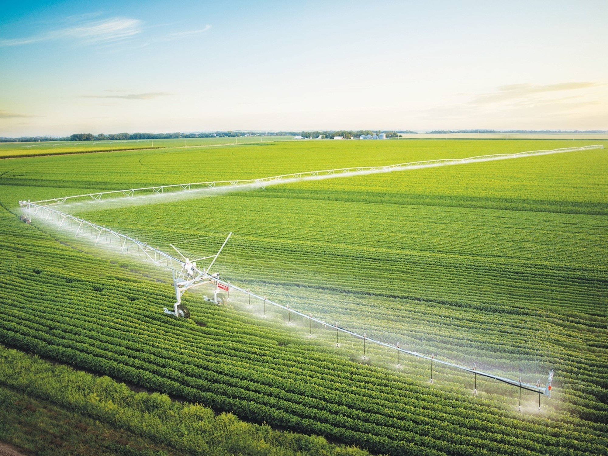 Riego: el potencial oculto que puede sumar producción, empleo y dólares al país