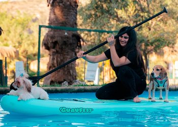 Actividades recreativas y momentos de calma: así es GuauFest, la actividad pensada 100% para perros