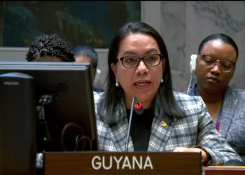 Quién es Carolyn Rodrigues-Birkett, la nueva contrincante de Michelle Bachelet en la carrera por la secretaría general de Naciones Unidas