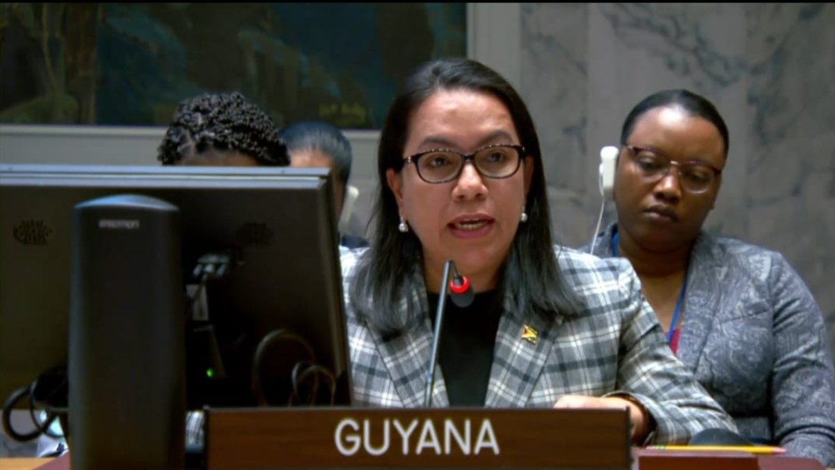 Quién es Carolyn Rodrigues-Birkett, la nueva contrincante de Michelle Bachelet en la carrera por la secretaría general de Naciones Unidas