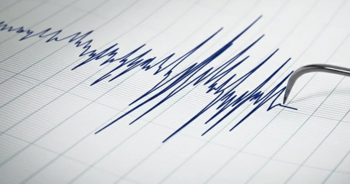 Sismo de mediana intensidad se produjo en la zona sur del país