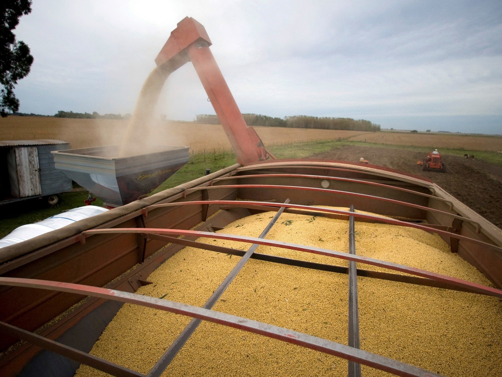 El clima, la energía y China vuelven a marcar el pulso del mercado agrícola global