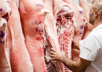 Los productores porcinos sacan "pechito" y destacan la competitividad de sus cortes