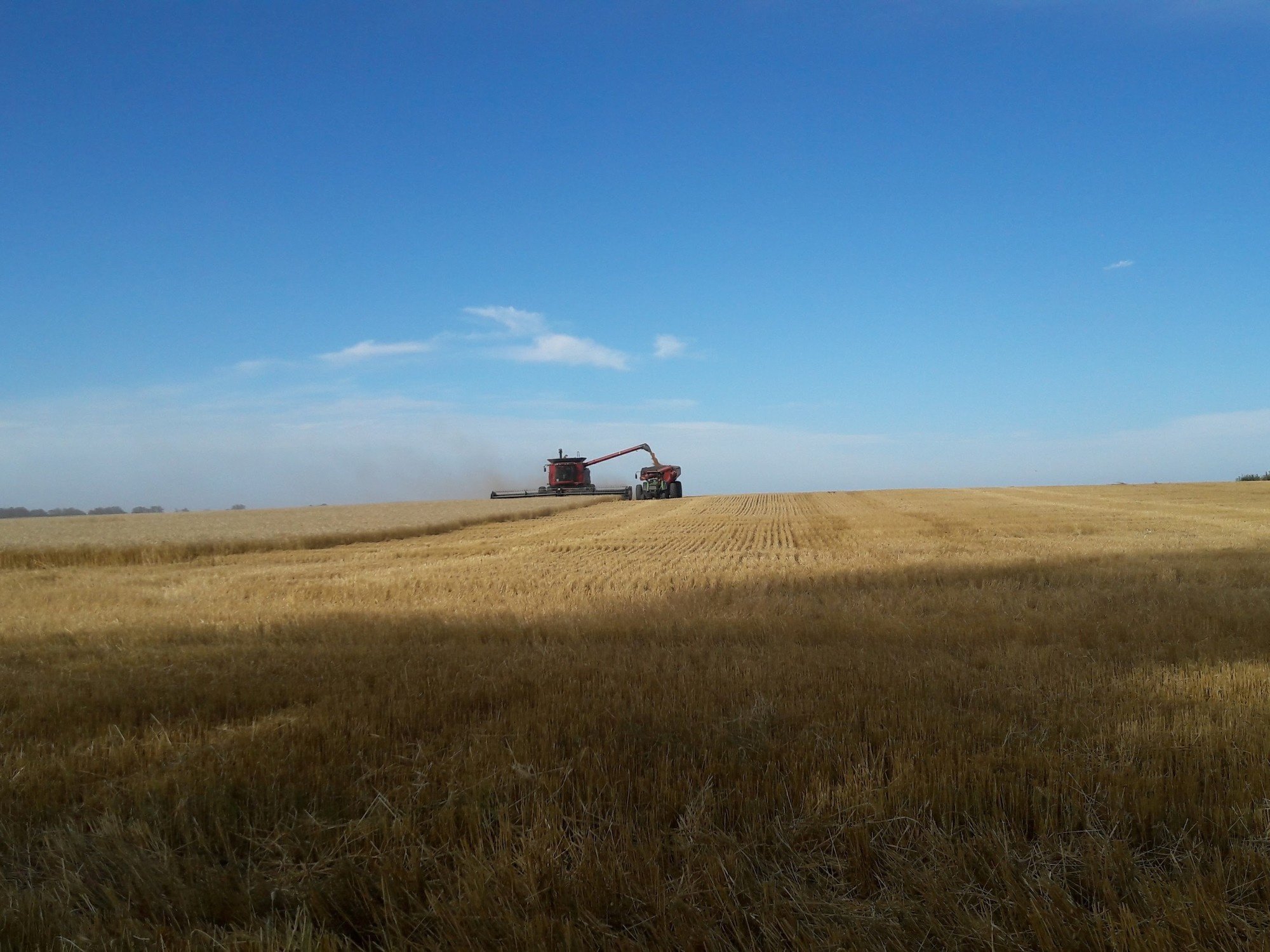 Un sector del campo que emplea a más de 70 mil personas prevé que el 2026 será un mejor año