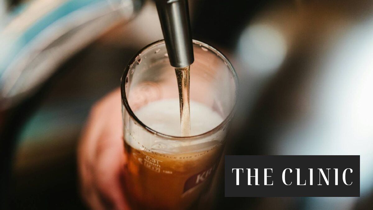 Más aroma y mejor fermentación: cómo la biotecnología chilena reinventa la receta de la cerveza lager