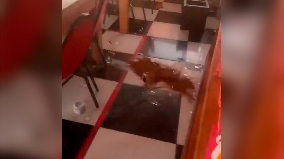 VIDEO | Así se vivió el sismo de magnitud 6,9 en Calama