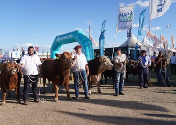 Las principales razas ganaderas ya son una fija de la megamuestra