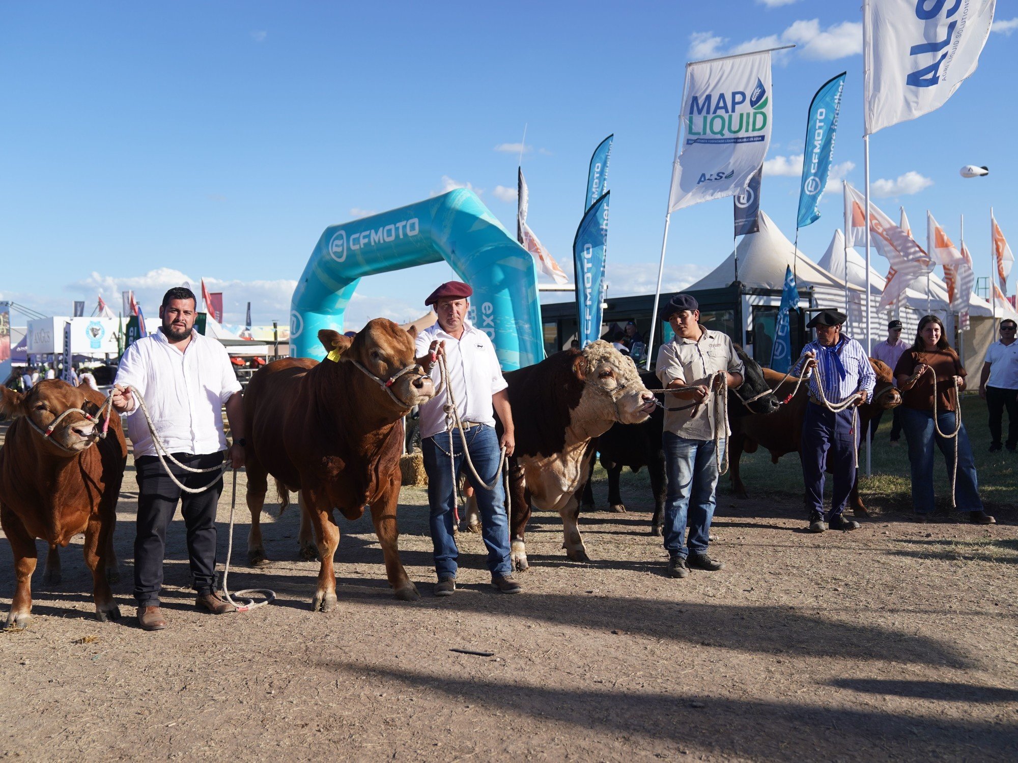 Las principales razas ganaderas ya son una fija de la megamuestra