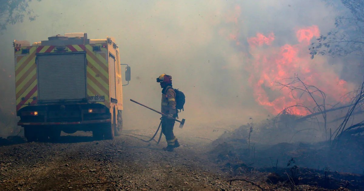 Nueve incendios forestales se mantienen en combate a nivel nacional