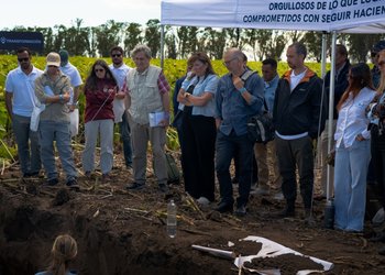 Alquila 73.000 hectáreas: una empresa avanza en un sistema disruptivo para sembrar campos de terceros