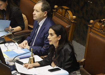 Por griterío en las tribunas, Senado postergó discusión sobre Sala Cuna